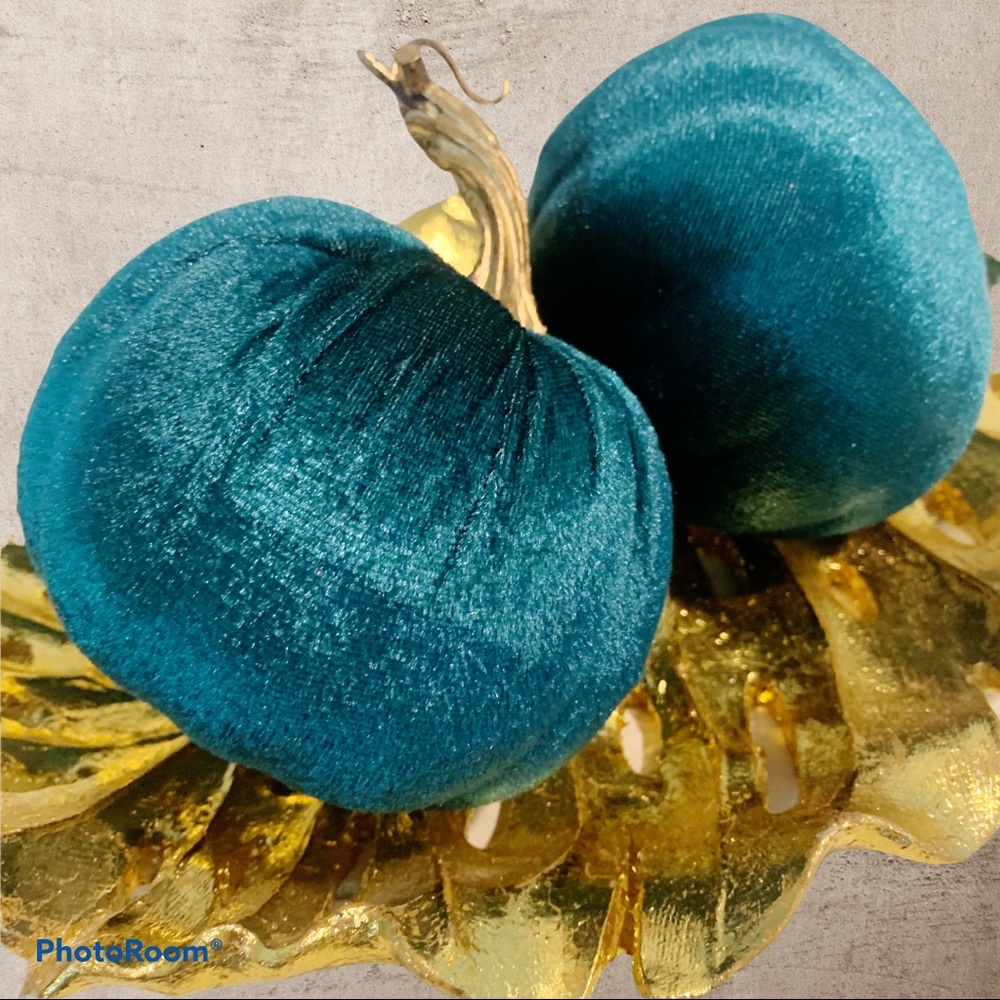 Modern Urban Fall Autumn Velvet 15”D Pumpk…